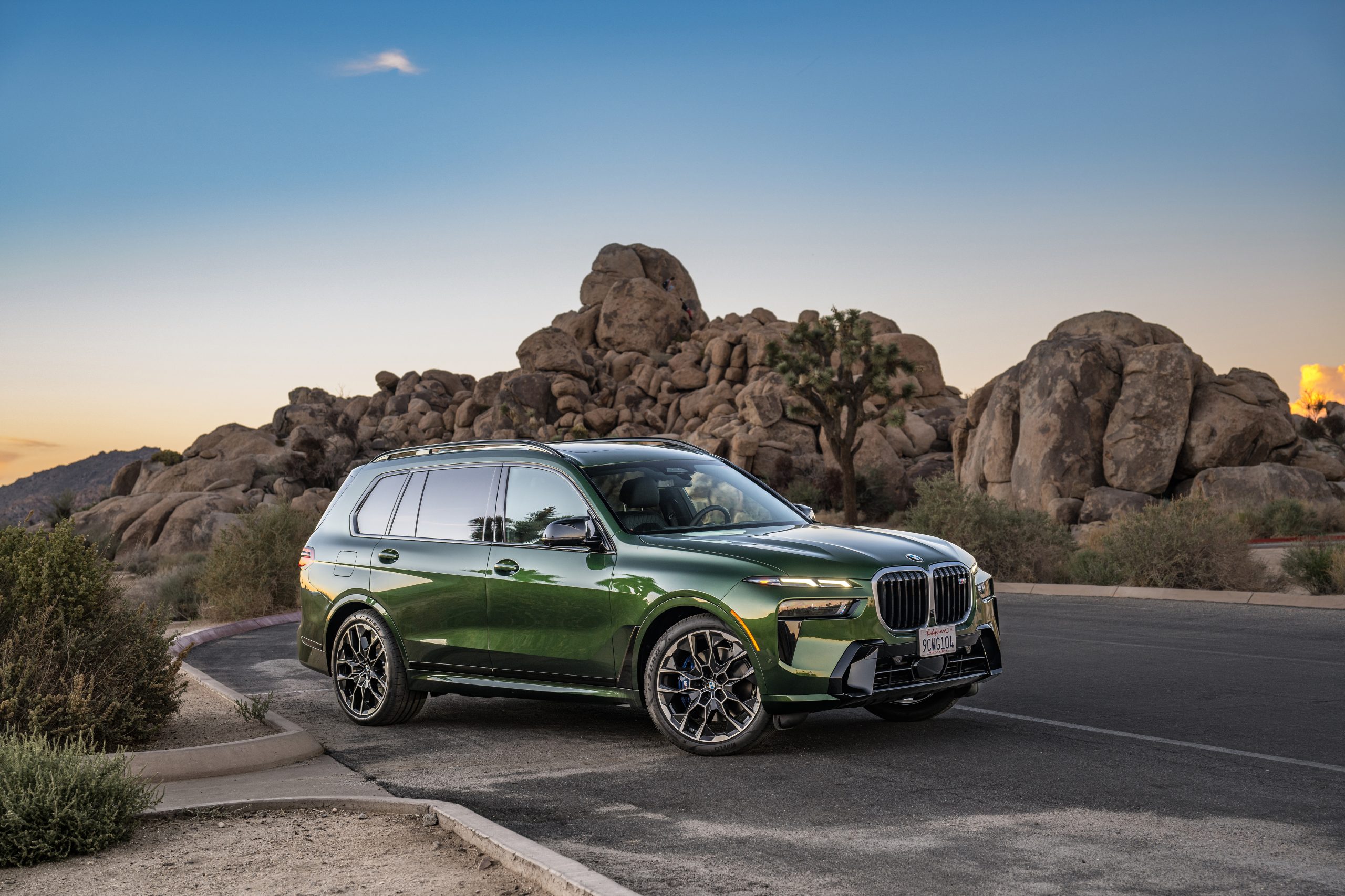 BMW X7