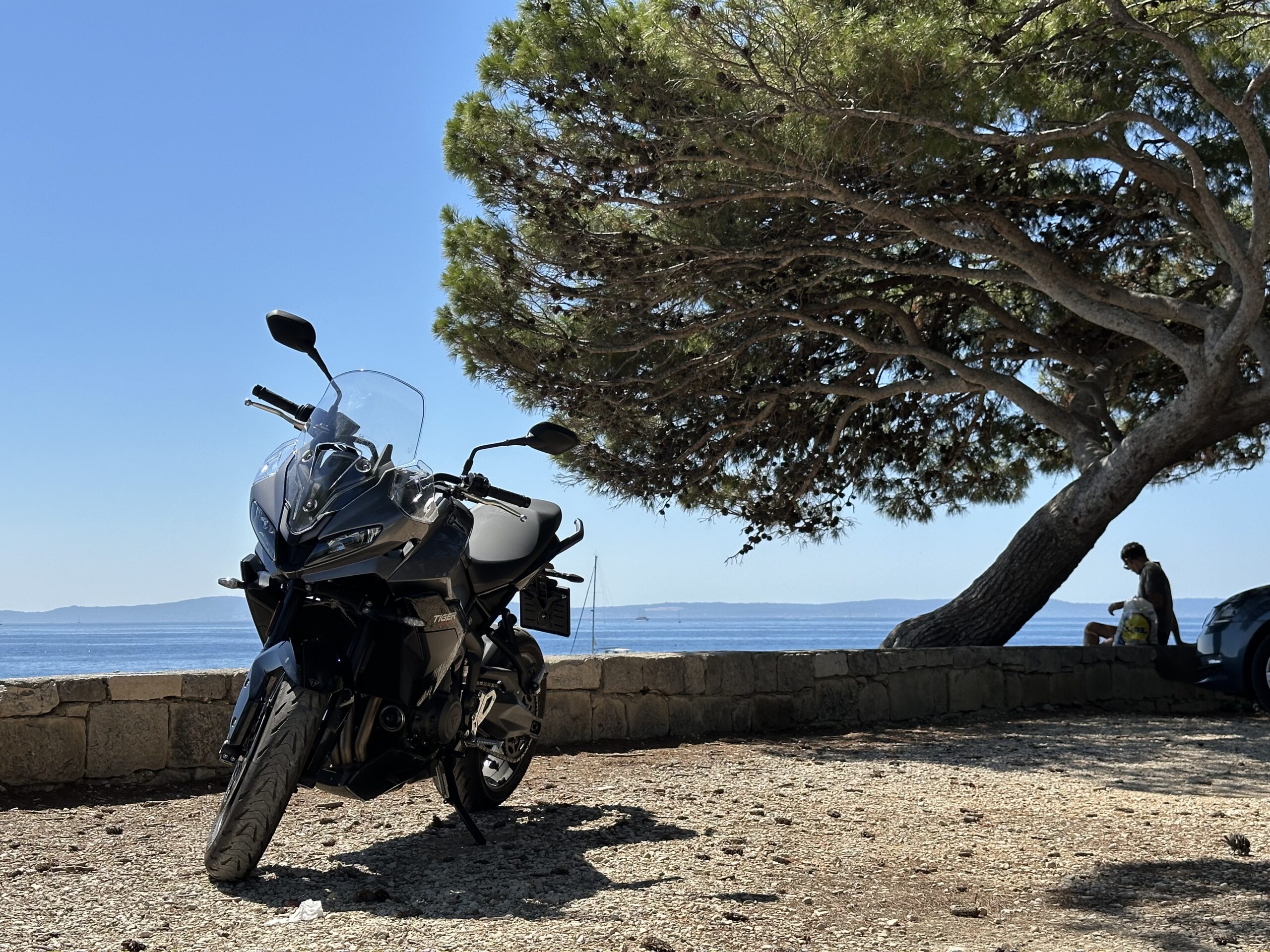 Triumph Tiger Sport 800