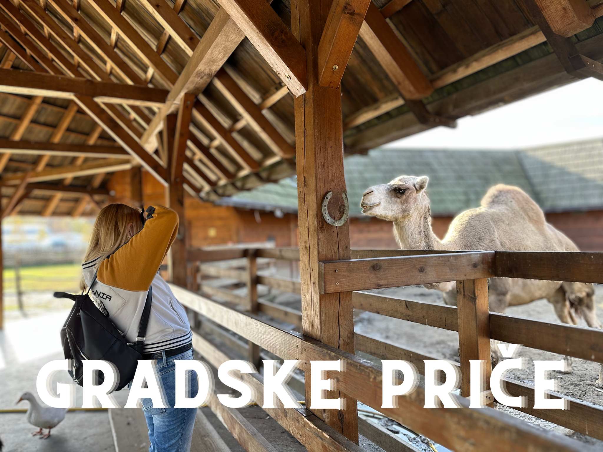 Novi serijal na našem portalu: ‘Gradske priče’ čitateljima otkrivaju zanimljivosti iz hrvatskih gradova